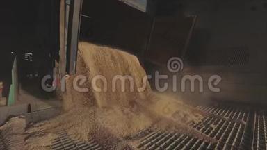 小麦从卡车卸到仓库的慢速运动框架，小麦在仓库装载的慢速运动框架